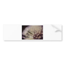 Wishes Bumper Stickers