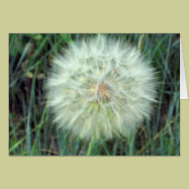 Wishes cards by blumoonart Wishes cards