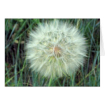 Wishes cards
