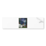 WISHING AT STARLIGHT POND BUMPER STICKERS