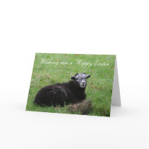 Wishing ewe a Happy Easter Card