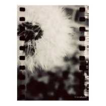 Wishing Flower film overlay poster posters