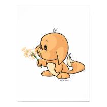 Wishing orange Kacheek posters