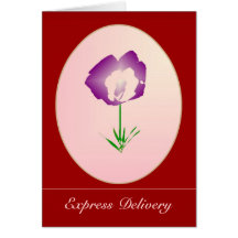 Wishing Peace & Love Cards