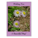 Wishing You A Beautiful Day! - Blank Inside cards