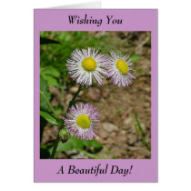 Wishing You A Beautiful Day! - Blank Inside cards by ChristineRachelle Wishing You A Beautiful Day! - Blank Inside cards