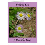 Wishing You A Beautiful Day! - Blank Inside Cards
