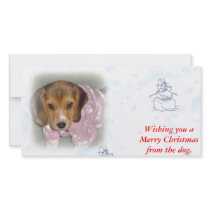 Wishing you a Merry Christmas from the dog. photo cards by beagles2 Wishing you a Merry Christmas from the dog. photo cards