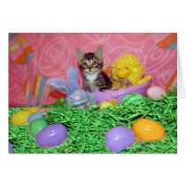 Wishing you a Purrrrfect Easter! cards