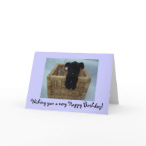 Wishing you a very Happy Birth... cards by seashell2 Wishing you a very Happy Birth... cards