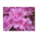 Wishing You Happy Days! Post Card Valentine's Day postcards