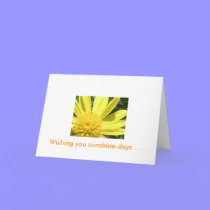 Wishing you sunshine days . . . cards by PinkMonkey_8 Wishing you sunshine days . . . cards