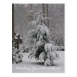 Wishing You Were Here! Postcard