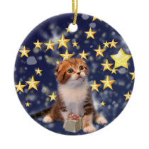 Wishing You Wonder and Joy Cat Artwork Christmas Ornaments