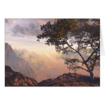 Wishingtree cards by BGHart Wishingtree cards