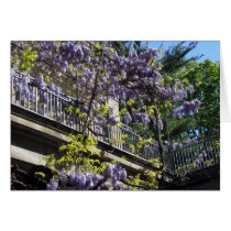 Wisteria Balcony Greeting Cards