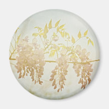 Wisteria Blooms magnet