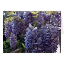 Wisteria Bunch Greeting Cards