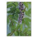 "Wisteria" cards