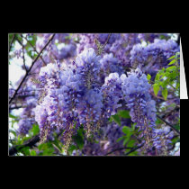 Wisteria Card cards