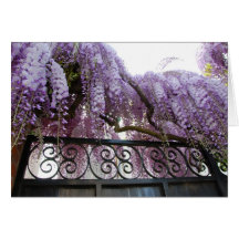 Wisteria Greeting Card