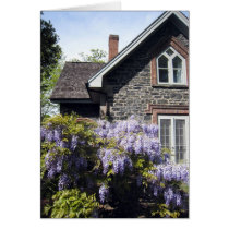 Wisteria House Cards