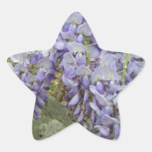 Wisteria in the Woods Sticker