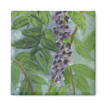 wisteria magnets by susanpaynetrutna wisteria magnets