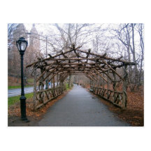 Wisteria Pergola Postcard