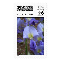 Wisteria postage by kokobaby Wisteria postage