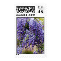 Wisteria Postage stamps