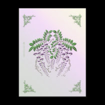 Wisteria Postcard postcards