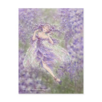 Wisteria Postcard