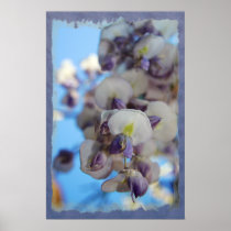 Wisteria Print 2 posters