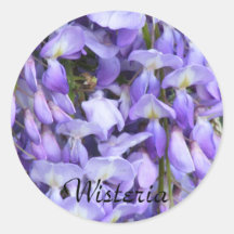 Wisteria sticker