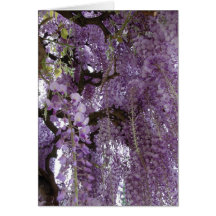 Wisteria Too Greeting Card