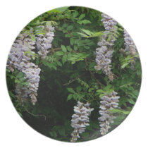 Wisteria Vine Plate plates