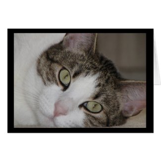 Wistful Cat Missing You Greeting Card