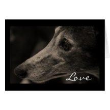 Wistful Greyhound Love Greeting Card
