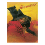 Witch And Black Cat Vintage Postcard