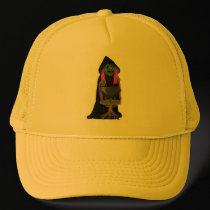 Witch and Cauldron hats