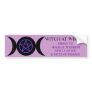 WITCH AT WHEEL BUMPER STICKER