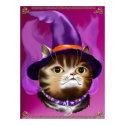 Witch Cat Face poster posters