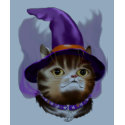 *Witch Cat Face t-shirts