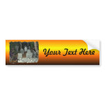 Witch Cemetery Bumper Sticker