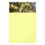Witch Hazel Flowers Stationery