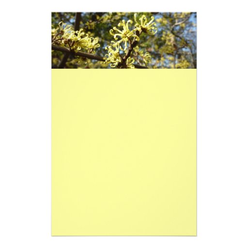 Witch Hazel Flowers Stationery