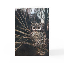 Witch in Owl Form Greeting Card