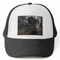 Witch in Owl Form Mesh Hats