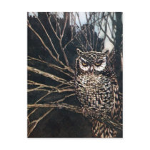 Witch in Owl Form Post Card